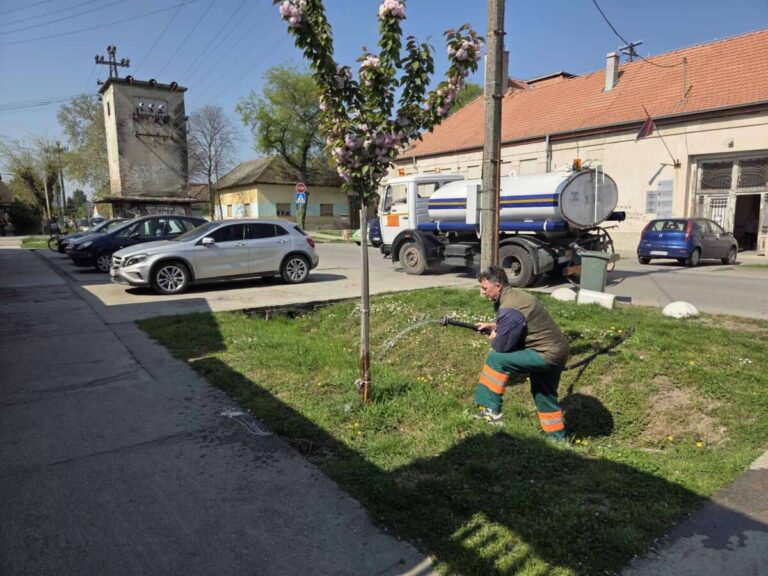 Заливање садница дрвећа на јавним површинама у Оџацима