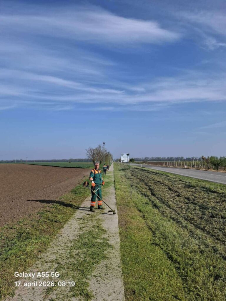 Кошење и уређење јавних зелених површина